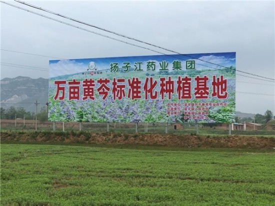 立足医药,面向大健康全链条:扬子江药业的“健康中国2030”实践
