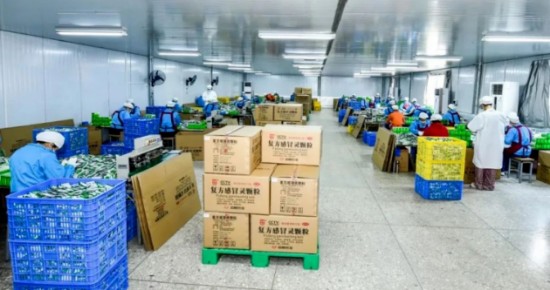 中国医药报:双蚁药业奋力打造具有壮族特色的壮药生产基地