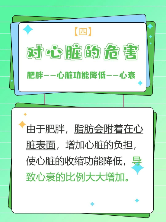 瘦吧脂20科普:快速了解肥胖带来的致命风险!